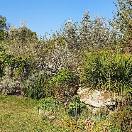 La Rose Casa de Férias Brossac